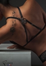 Luxxa BRA 2